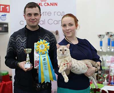 �������� ����� 11-12 ������ 2015 WCF-����� 10-115-169A4343 copy.jpg